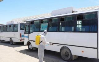 Toshkent viloyatining “yashil” va “sariq” hududlarida avtobus harakati tiklandi