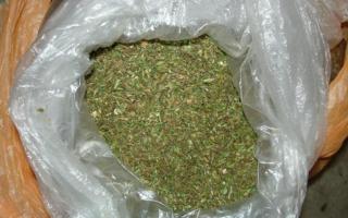 Чустда қўлидаги пакетда 300 граммдан ортиқ марихуана бўлган эркак қўлга олинди