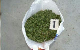 Иштихонда ертўласида 1,5 кг марихуана сақлаган 58 ёшли эркак қўлга олинди