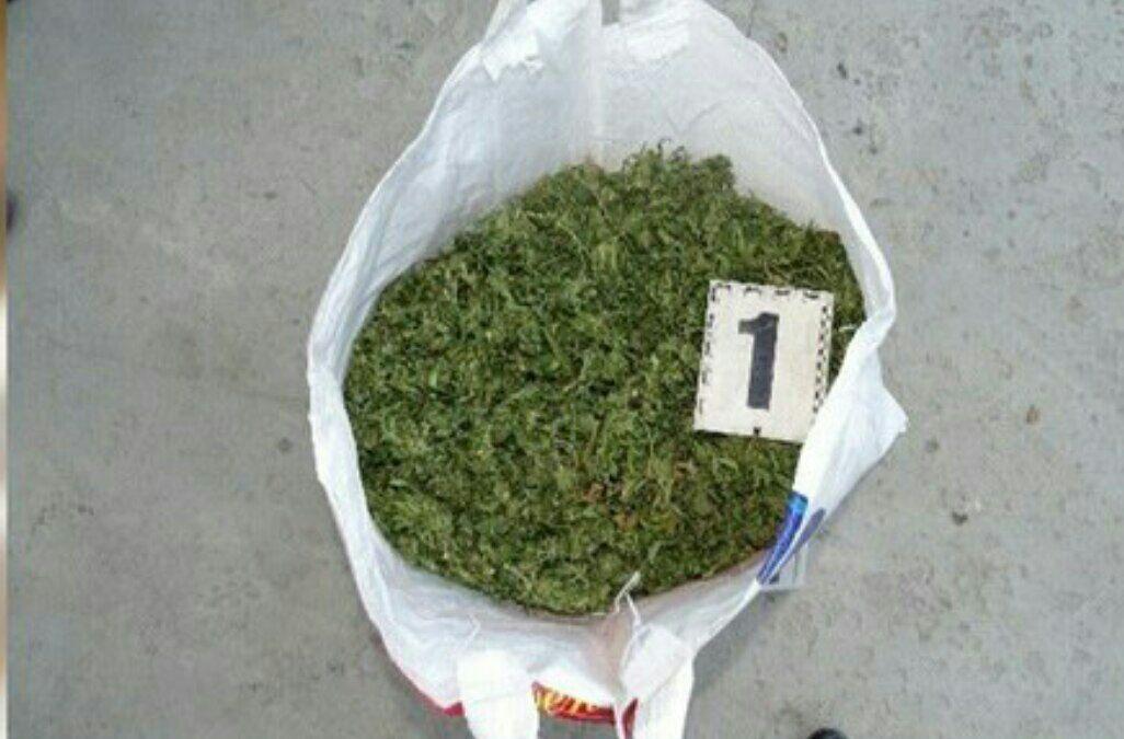 10 кг марихуаны