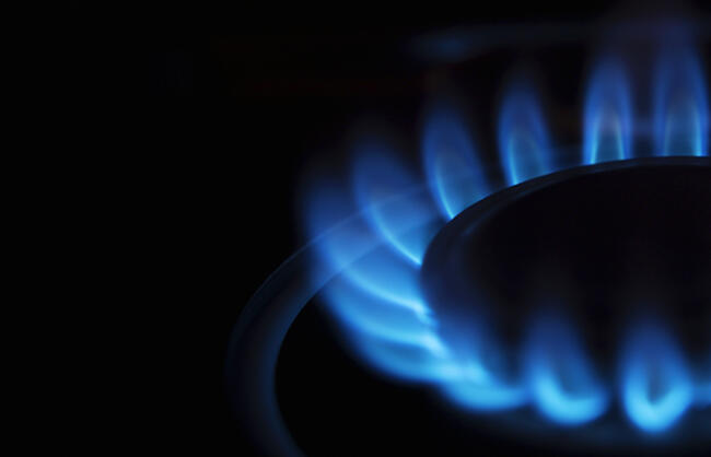 Жиззахда корхона табиий газдан ноқонуний фойдалангани аниқланди