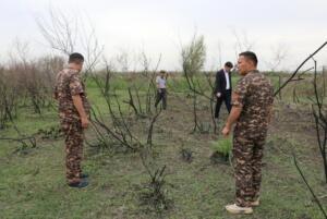 Самарқандда ўрмон ёнғини натижасида табиатга қарийб 1,9 млрд сўм зарар етказилди