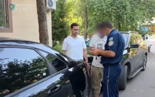 Тошкентда автомобиль капотида балиқларни сақлаган ҳайдовчи жаримага тортилди