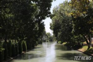 Сўнгги 2,5 йилда табиатга қанча зарар етказилгани маълум қилинди