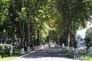 Ҳудудларда ҳарорат 46 даражагача кўтарилиши мумкин