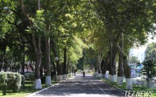 Ҳудудларда ҳарорат 46 даражагача кўтарилиши мумкин