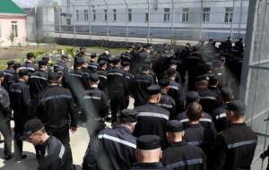 Гиёҳванд моддалар, жинсий зўравонлик, қотиллик. Ўзбекистонликлар Россияда энг кўп қайси жиноятларни содир этган?