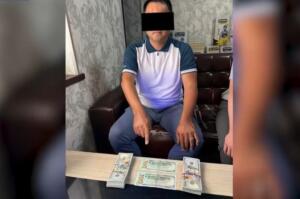 Тошкент вилоятида қишлоқ хўжалиги мансабдори $20 минг пора билан қўлга тушди
