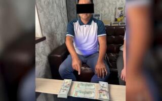 Тошкент вилоятида қишлоқ хўжалиги мансабдори $20 минг пора билан қўлга тушди