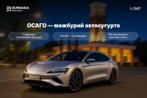 E-ОСАГОни 7 қадамда расмийлаштириш: Ўзбекистон ҳайдовчилари учун батафсил йўриқнома