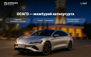 E-ОСАГОни 7 қадамда расмийлаштириш: Ўзбекистон ҳайдовчилари учун батафсил йўриқнома