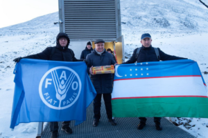 Ўзбекистон қадимий экин уруғларини «Қиёмат куни омбори»га топширди