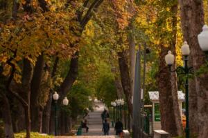 Ўзбекистонда ҳафта охирида ҳаво исиши кутилмоқда