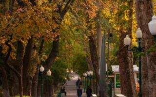 Ўзбекистонда ҳафта охирида ҳаво исиши кутилмоқда