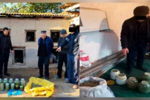 Тошкент вилоятида қарийб 12,3 кг гиёҳвандлик воситаларининг айланмаси тўхтатилди