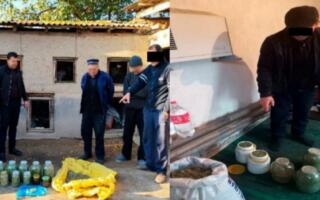 Тошкент вилоятида қарийб 12,3 кг гиёҳвандлик воситаларининг айланмаси тўхтатилди