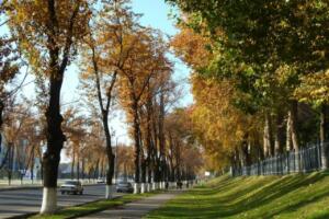 Ўзбекистонда ҳафта давомида ҳарорат 20 даражагача кўтарилади