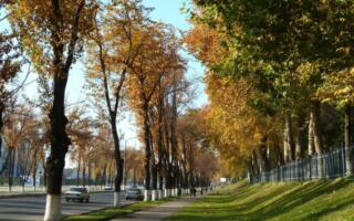 Ўзбекистонда ҳафта давомида ҳарорат 20 даражагача кўтарилади