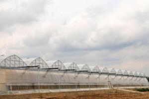 Тошкентда иссиқхоналар билан табиий газ етказиб бериш бўйича шартномалар тузила бошланди