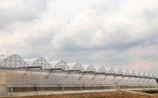 Тошкентда иссиқхоналар билан табиий газ етказиб бериш бўйича шартномалар тузила бошланди