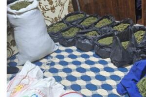 Қашқадарёда фуқаронинг уйидан қарийб 21 кг гиёҳвандлик воситаси топилди