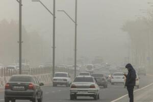 Тошкентликларга очиқ ҳавода бўлиш вақтини қисқартириш ва ниқоблар тақиш тавсия этилди