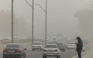 Тошкентликларга очиқ ҳавода бўлиш вақтини қисқартириш ва ниқоблар тақиш тавсия этилди