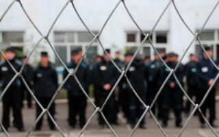 Президент Конституция куни муносабати билан 600 дан ортиқ маҳкумларни афв этди