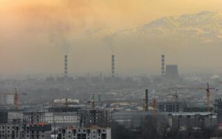 «Адолат» партияси табиатга жиддий зарар етказганлик учун жиноий жавобгарликка тортишни таклиф этди