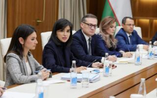 Саида Мирзиёева зўравонлик ҳолатларига қарши тезкор чора кўришга чақирди