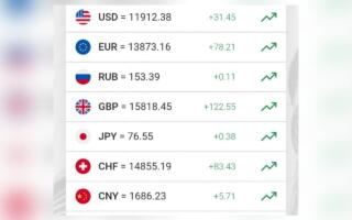 Ўзбекистонда доллар курси кўтарилди