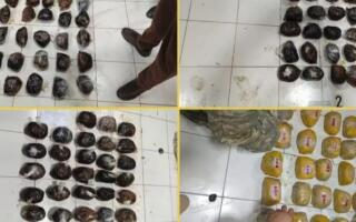 Ўзбекистонда Тожикистондан келтирилган 30 кг ортиқ наркотик моддалари аниқланди