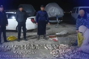 Ноқонуний балиқ овлаб, табиатга 400 млн сўмга яқин зарар етказган «браконьерлар» ушланди