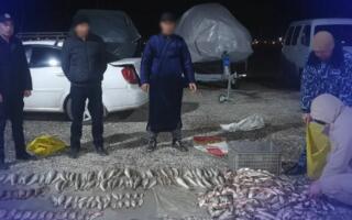 Ноқонуний балиқ овлаб, табиатга 400 млн сўмга яқин зарар етказган «браконьерлар» ушланди