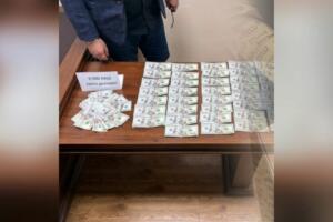 Қорақалпоғистон ва Тошкентда қалбаки долларларни ўтказмоқчи бўлганлар ушланди