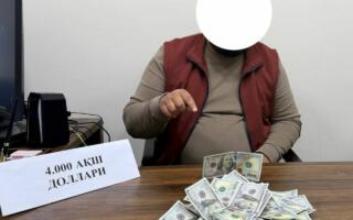 Тошкентда $4 минг қарзини қалбаки пуллар билан тўламоқчи бўлган шахс ушланди