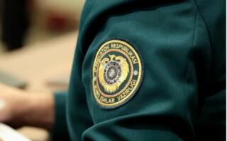 Тошкентда Taftish.uz ходимлари товламачилик ва фирибгарликда гумонланиб ушланди — ИИББ