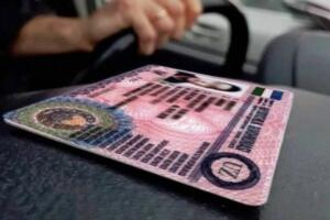 Ўзбекистонда 1200 дан ортиқ фуқарога сохта ҳайдовчилик гувоҳномалари берилди