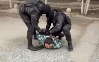 Хоразмда қимор ва «кўча безорилиги» билан шуғулланган шахслар ушланди