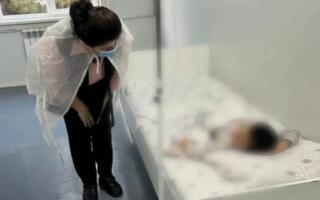 Фарғона боғчаларида заҳарланган болаларнинг 22 нафарига уйга жавоб берилди