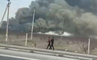 Фарғонада кўчатлар сақланадиган омборхона ёниб кетди