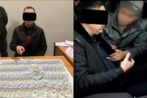 Наманганда давлат ўрмон хўжалиги мансабдорлари пора билан ушланди