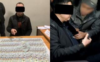 Наманганда давлат ўрмон хўжалиги мансабдорлари пора билан ушланди