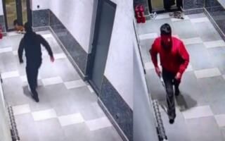 Бўстонлиқдаги ҳайвонларга нисбатан шафқатсиз муносабат юзасидан тегишли ишлар бошланди — ИИБ