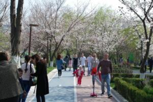 Ўзбекистон фуқаролари 8 март байрамида неча кун дам олиши маълум бўлди