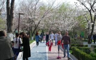 Ўзбекистон фуқаролари 8 март байрамида неча кун дам олиши маълум бўлди