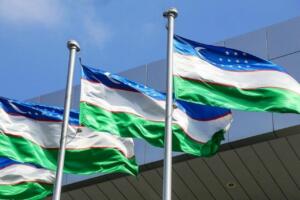 Ўзбекистонда IT-visa бериш учун янги талаблар белгиланди