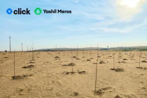 Click Yashil Meros лойиҳаси доирасида яна 4 000 та дарахт экди