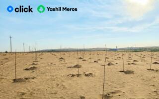 Click Yashil Meros лойиҳаси доирасида яна 4 000 та дарахт экди