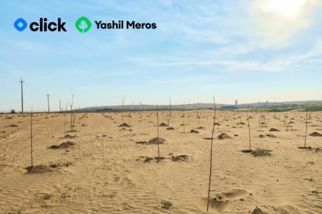 Click Yashil Meros лойиҳаси доирасида яна 4 000 та дарахт экди